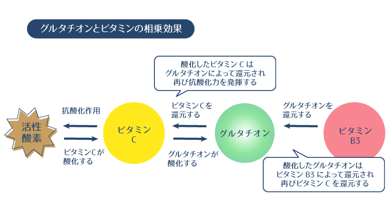 グルタチオンがビタミンCを還元する。この還元によって酸化したグルタチオンをビタミンB3が還元するメカニズムを説明した図。