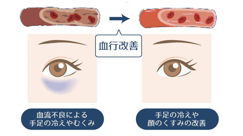 血行を促進することで、血行不良により青白く見える肌が改善されることを示した図。