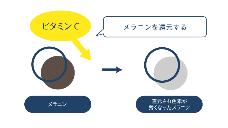 ビタミンCがメラニンを還元することでメラニンが無色化することを説明した図。