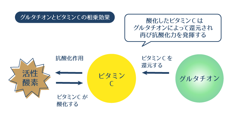 抗酸化作用を発揮したことで酸化したビタミンCを、グルタチオンが還元することで、抗酸化作用をサポートする図。
