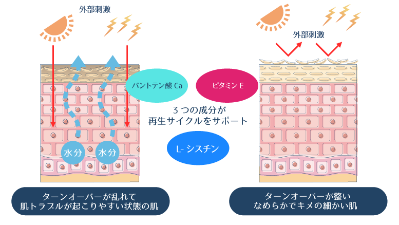 L-シスチン、ビタミンE、パントテン酸Caの3成分の相乗効果により、肌のターンオーバーが正常化し、なめらかで均一な肌質が実現されることを示した図。