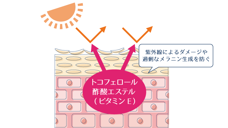 トコフェロール酢酸エステルが紫外線ダメージやメラニンの過剰生成を防ぐ図