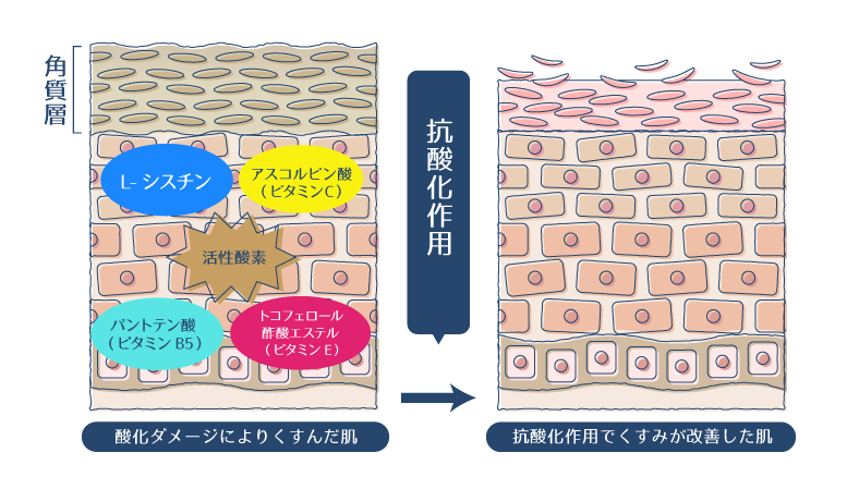 L-シスチン・アスコルビン酸・パントテン酸・トコフェロール酢酸エステルが、抗酸化作用により活性酸素を除去し、くすみが改善されることを示した図。