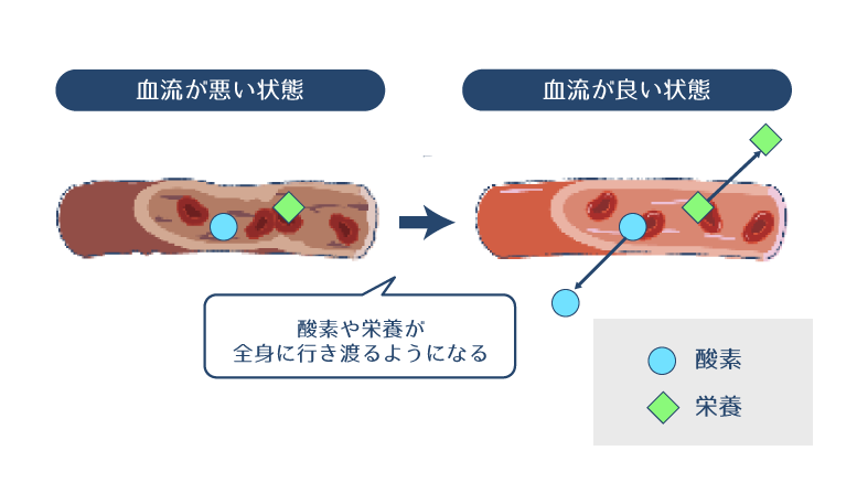 トコフェロール酢酸エステルが血行改善に働くことで、血液を通じて酸素や栄養が全身に行き渡る様子を示す図。