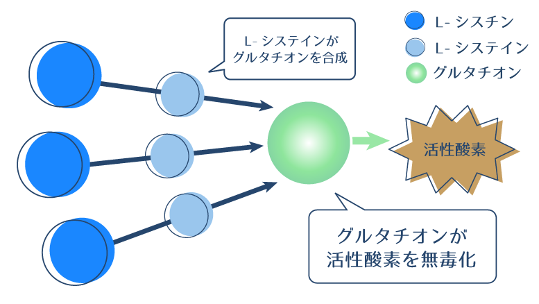 L-シスチンがグルタチオンを合成し、肌にダメージを与える原因である活性酸素を抑える様子を示す図。