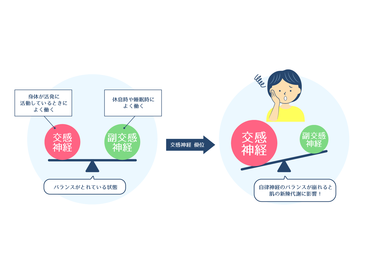 自律神経のバランスイメージイラスト