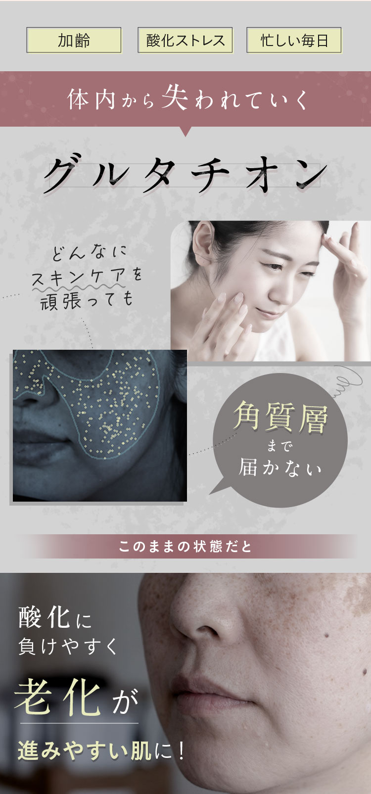 グルタチオン