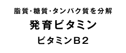 ビタミンB2