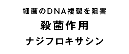 ナジフロキサシン