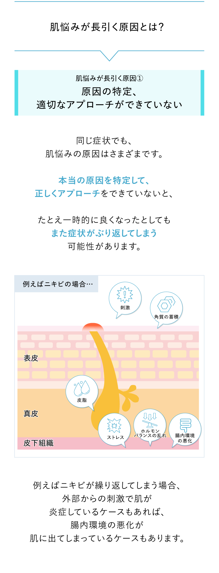 肌悩みの原因は外的刺激やストレス、腸内環境など複数あることを示す説明図