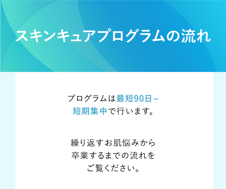 スキンキュアプログラムの流れ