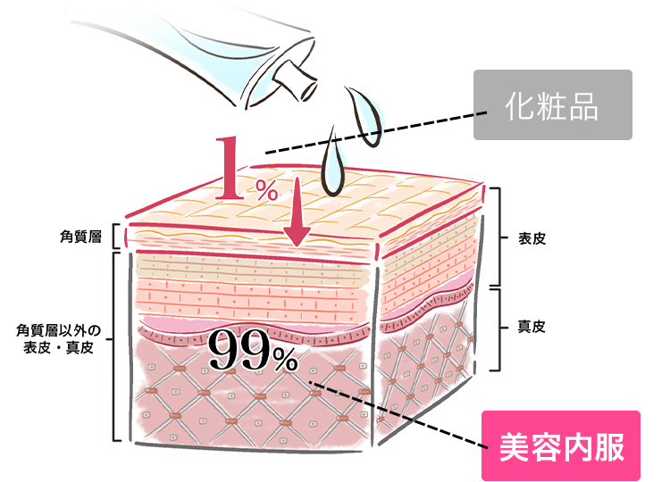 そもそも、化粧品はお肌の表面1%のケアだけ。