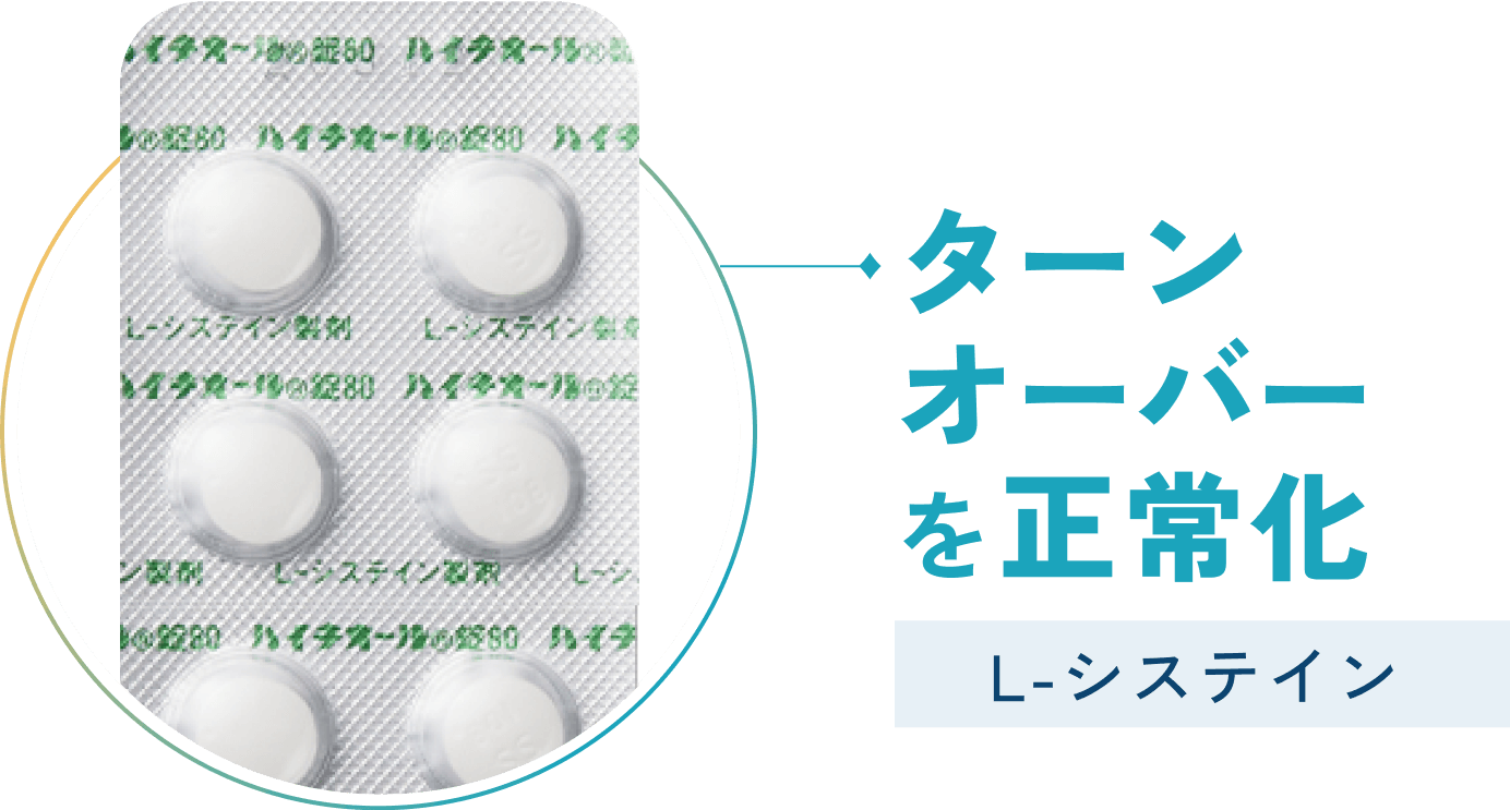 ターンオーバーを正常化 L-システイン